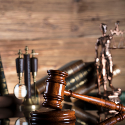 Court Representation